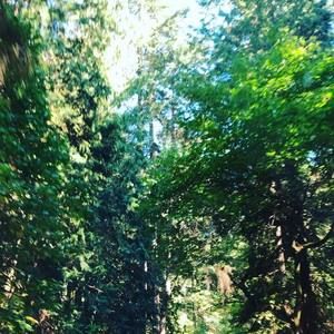 Meet your Posher, Malissa